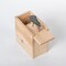 Keim's Amish-Made Wooden Jumping Mouse Slide Box Simple Fun for All